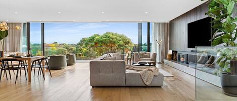 Télévision, cheminée