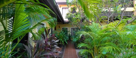 A narrow, tiled pathway flanked by lush green plants and a building with a tiled roof.