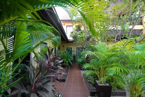 Deluxe Double Room, 1 King Bed, Pool View | View from room