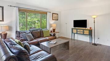 TV, fireplace, books