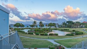 A landscaped garden with a pond, palm trees, and a view of the sea.