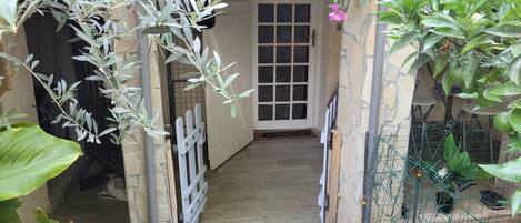 A wooden pathway leading to a door with a window, surrounded by greenery and plants.