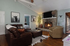 Smart TV, chimenea, reproductor de DVD y libros 