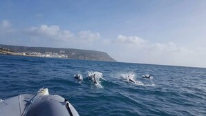 Eine Küstenansicht mit einem Boot im Vordergrund und einer Klippe mit Gebäuden im Hintergrund.