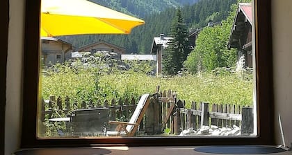 Chalet, fireplace or stove, tv, 62m², Pralognan-la-Vanoise