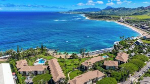 On the beach - Lae Nani 536, Oceanfront, Tropical Oasis, Steps to Beach and Town (Kapaa)