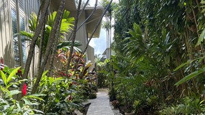 Un sendero de piedra bordeado de abundante vegetación y altas palmeras, que conduce a un edificio con ventanas amplias y un corredor cubierto.