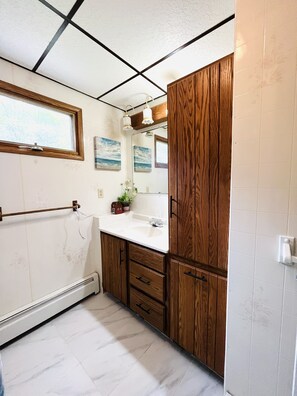 Hair dryer, towels, soap, toilet paper - Newly Remodeled home with Class A Trout Stream (Austin)