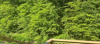 Newly Remodeled home with Class A Trout Stream