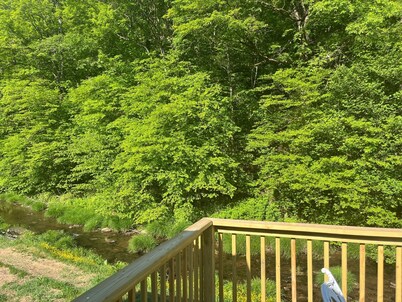 Newly Remodeled home with Class A Trout Stream
