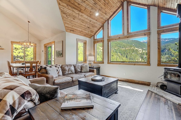 Televisión, chimenea y oficina