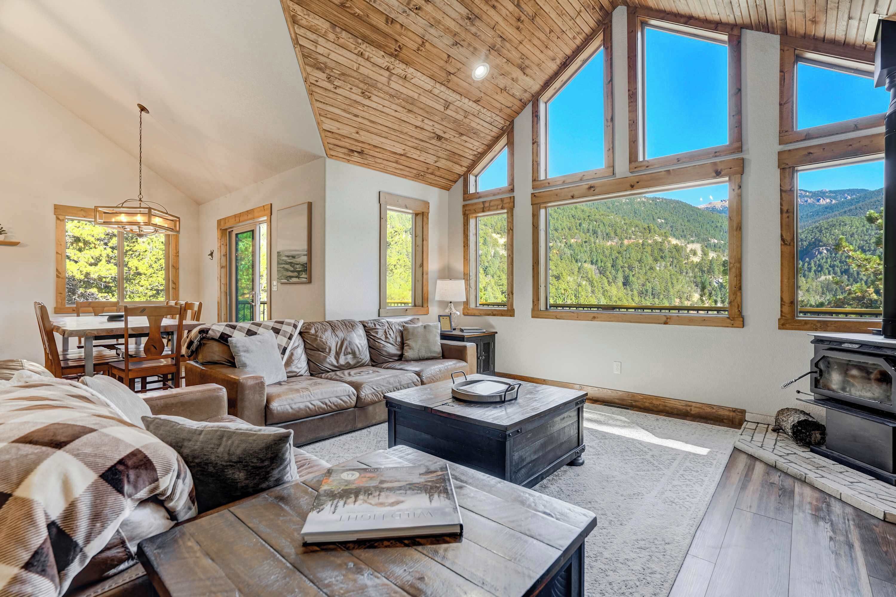 Télévision, cheminée, espaces bureaux