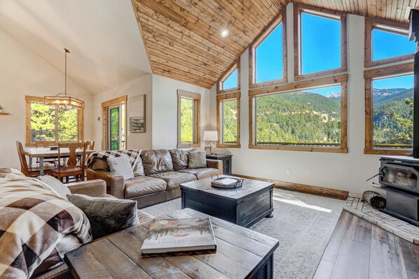 TV, fireplace, offices