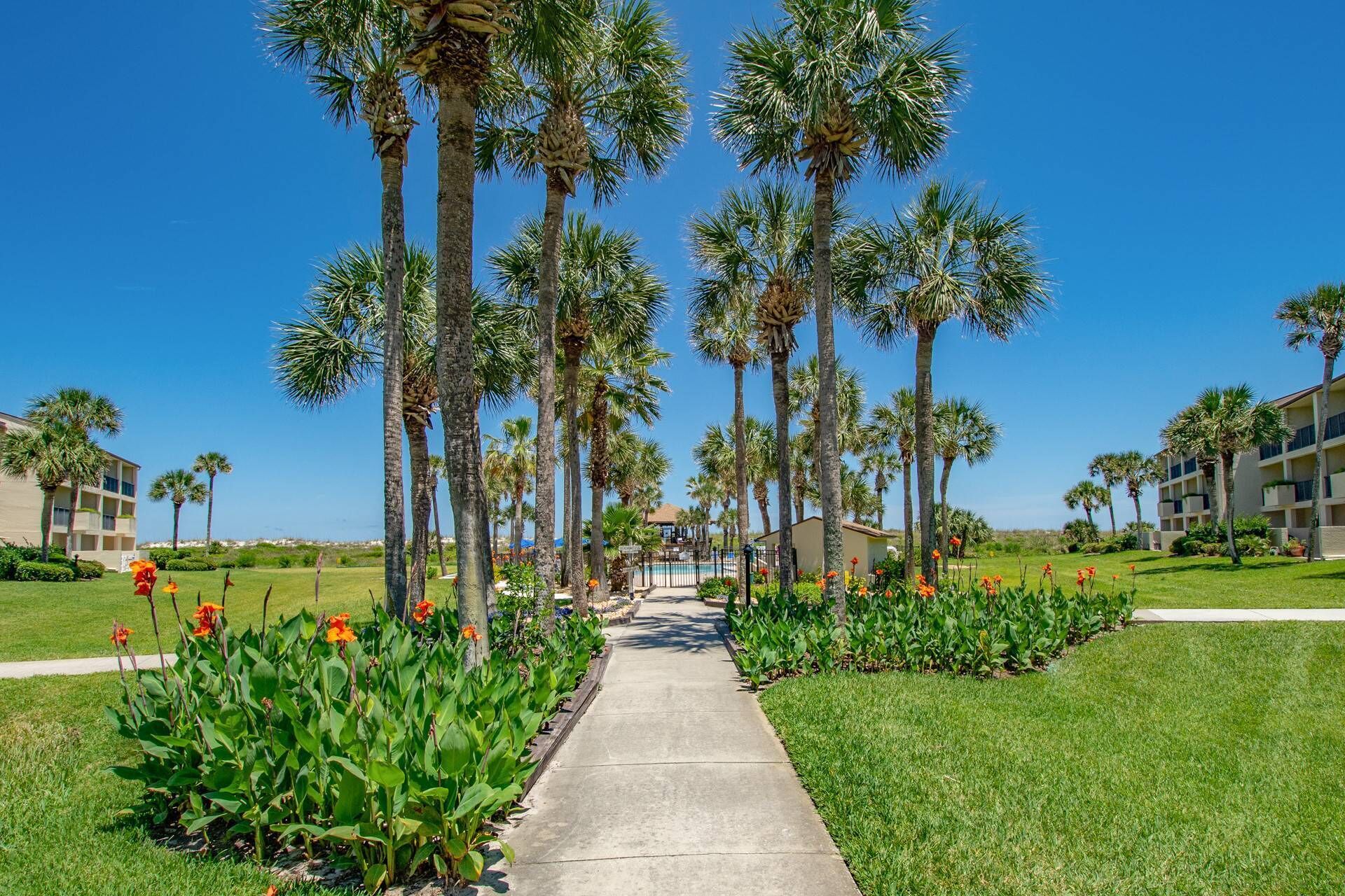 A pathway lined with palm trees and orange flowers leading to a pool area, surrounded by well-maintained lawns and buildings.