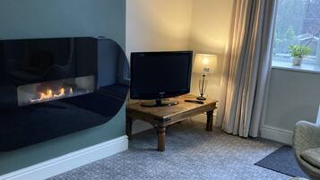 TV connectée, cheminée, lecteur de DVD, livres