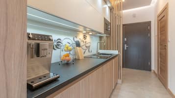 Apartment | 1 bedroom, desk, laptop workspace, iron/ironing board