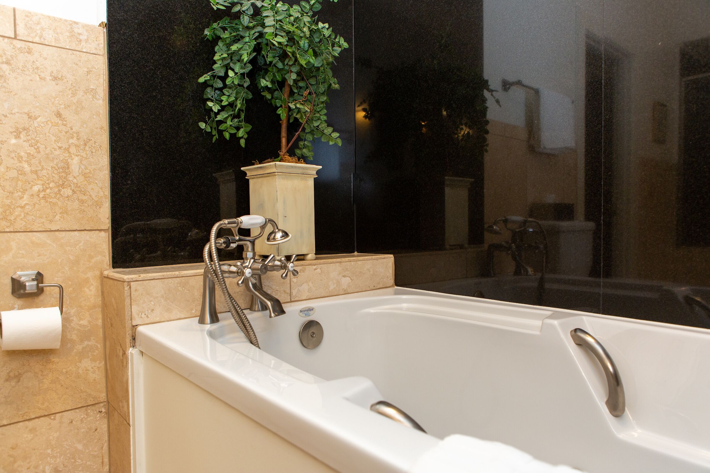 Jetted tub, hair dryer, towels, soap