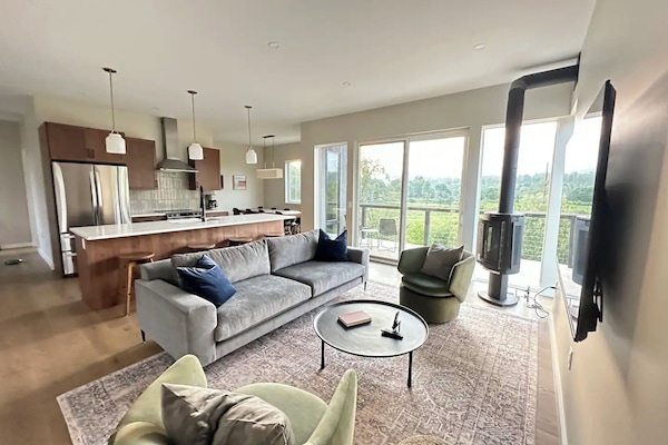 Living room with Jotul Fireplace, 65 inch TV and West Elm furniture