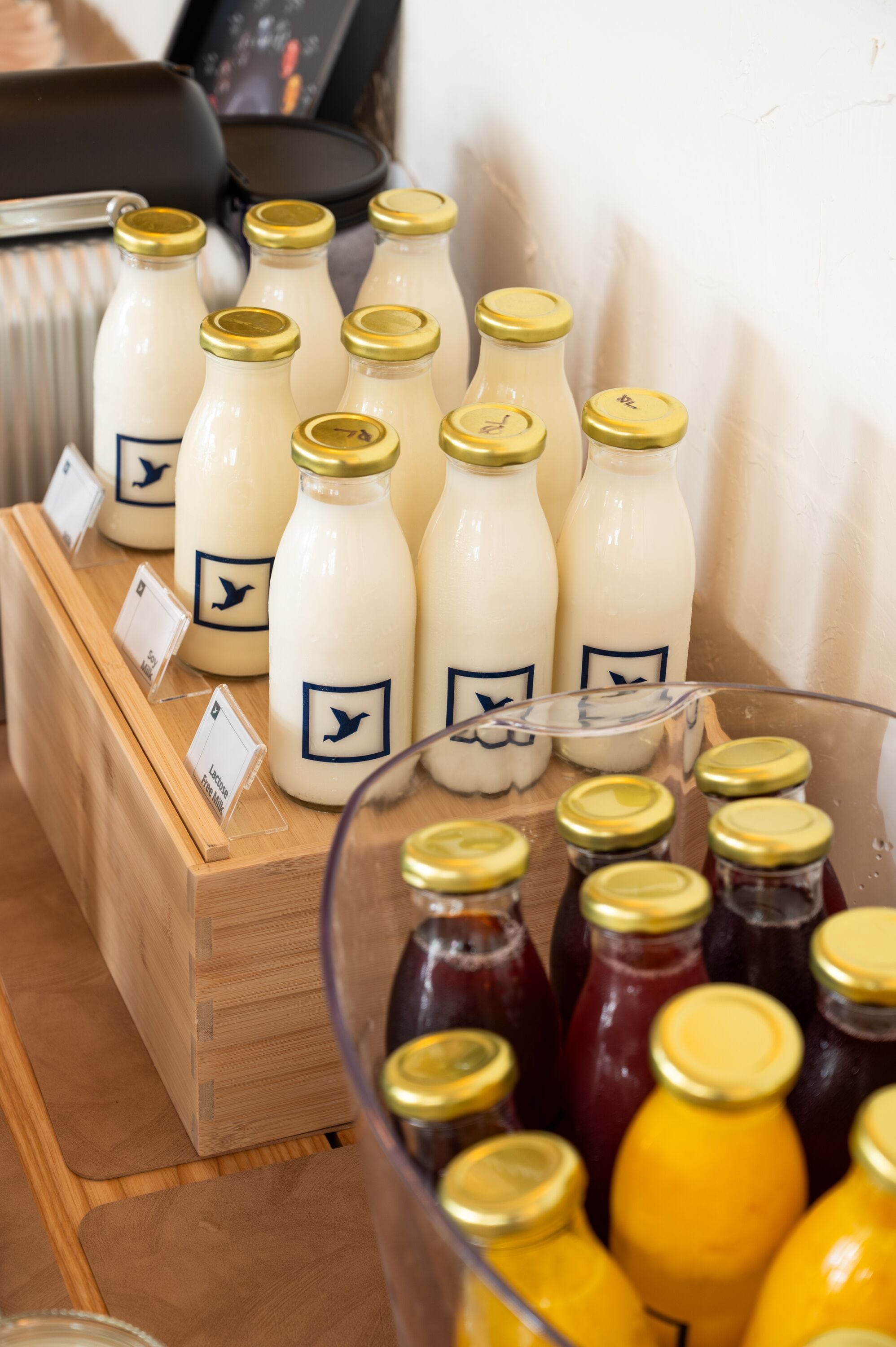 A display of milk bottles with gold caps and labels, arranged on wooden shelves and a glass table.