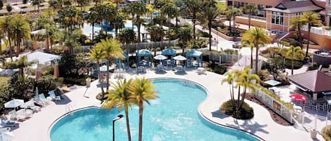 A resort with a large, curved swimming pool surrounded by palm trees and lounge chairs.