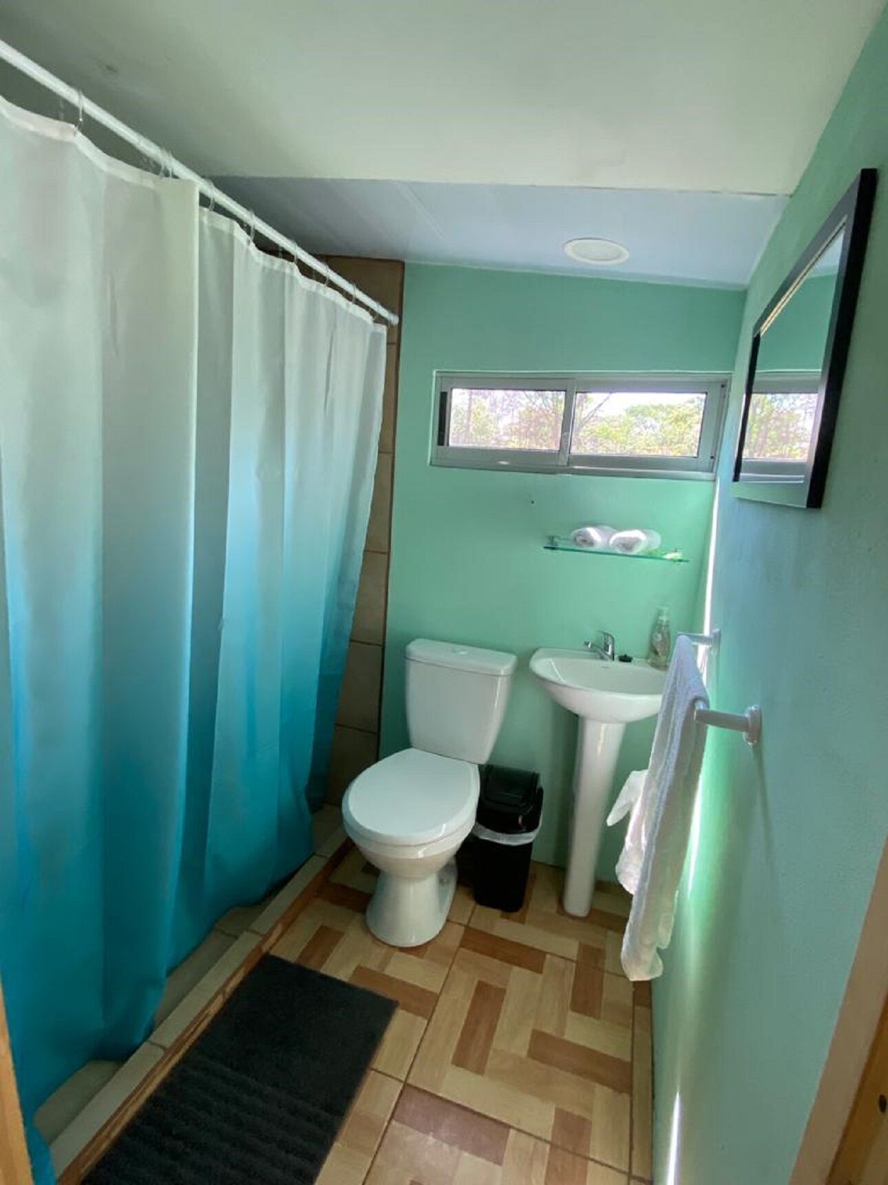 Un baño pequeño con inodoro, lavabo y cortina de ducha.