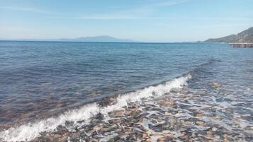 Beach nearby, black sand