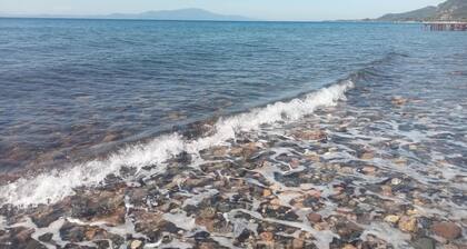 Assos Günöven Butik Apart Otel