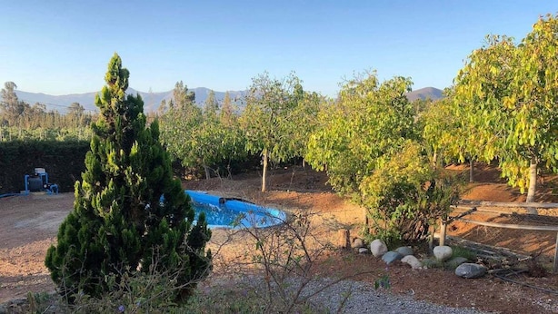 A backyard with a swimming pool, surrounded by trees and a small hill in the background. - Eco Yoga Lounge Illawara (Illapel)