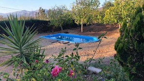 A swimming pool surrounded by various plants and trees. - Eco Yoga Lounge Illawara (Illapel)