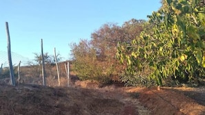 A fenced outdoor area with dry grass and a dirt path. - Eco Yoga Lounge Illawara (Illapel)