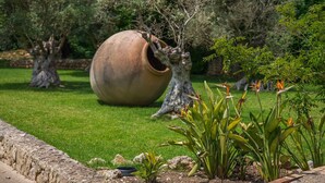 Ein Garten mit einem großen Topf, Bäumen und Pflanzen.