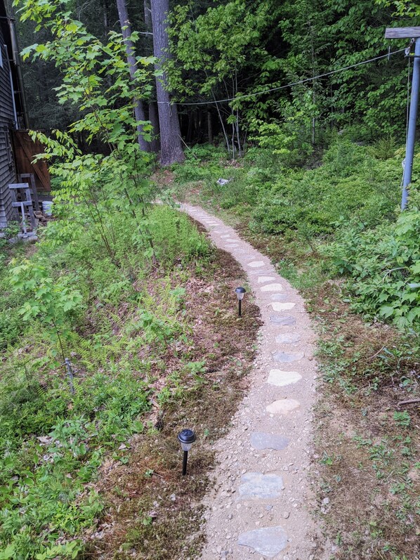 Stroll through lush greenery along a winding pathway, surrounded by dense foliage and small shrubs.