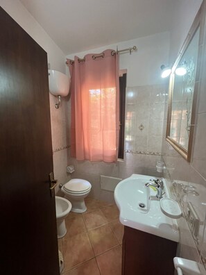Shower, bidet, towels