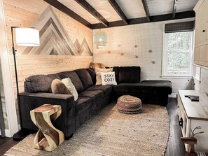 Smart TV, fireplace, DVD player, books