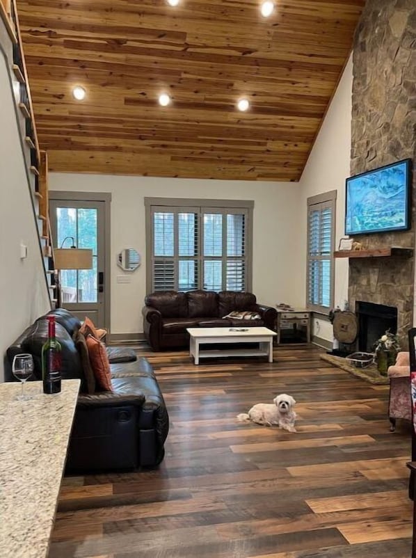 Smart TV, chimenea y libros 