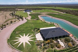 Vista aérea de un viñedo con un césped en forma de estrella grande, un edificio de techo oscuro y un estanque.