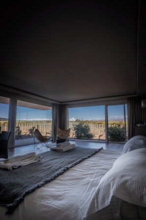 2 bedrooms, in-room safe, laptop workspace, soundproofing - Villas del Malbec Lodge (Ugarteche)