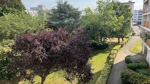 Una zona residencial con un camino, céspedes verdes y árboles.