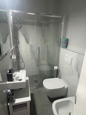 Séchoir à cheveux, serviettes fournies, savon, papier de toilette