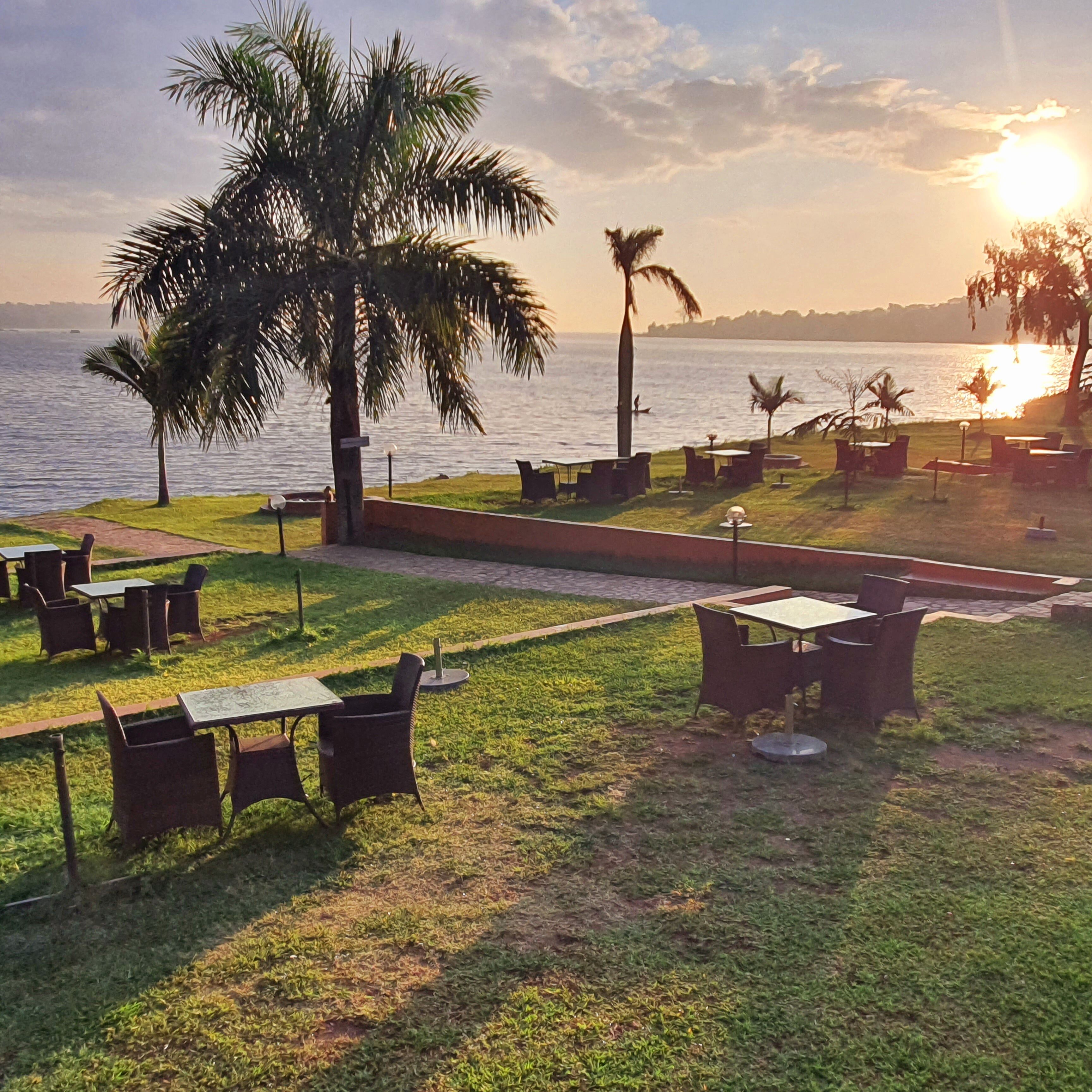 An outdoor seating area with tables and chairs, palm trees, and a view of the water.
