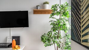 A room with a flat-screen TV, a radiator, a potted plant, and a shelf with a plant and a box. - Studio in Central Lisbon by Lisbeyond (Lisboa)