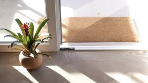 Une plante en pot près d’une porte-fenêtre coulissante, avec un paillasson devant.