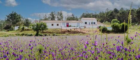 المنطقة المحيطة بالمنشأة