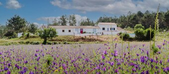 Casa Alfambras | Holiday Cottage in Aljezur