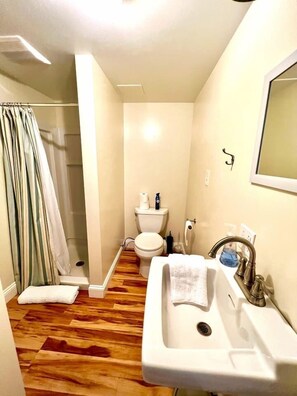 Regadera, secadora de cabello, toallas, jabón 