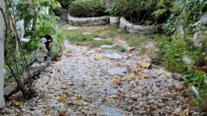 Un sendero en un jardín con grava, rodeado de plantas y arbustos.