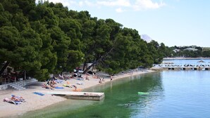 Una playa con agua cristalina, árboles y un muelle.