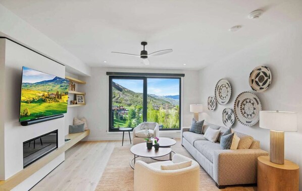 TV, fireplace, stereo, offices