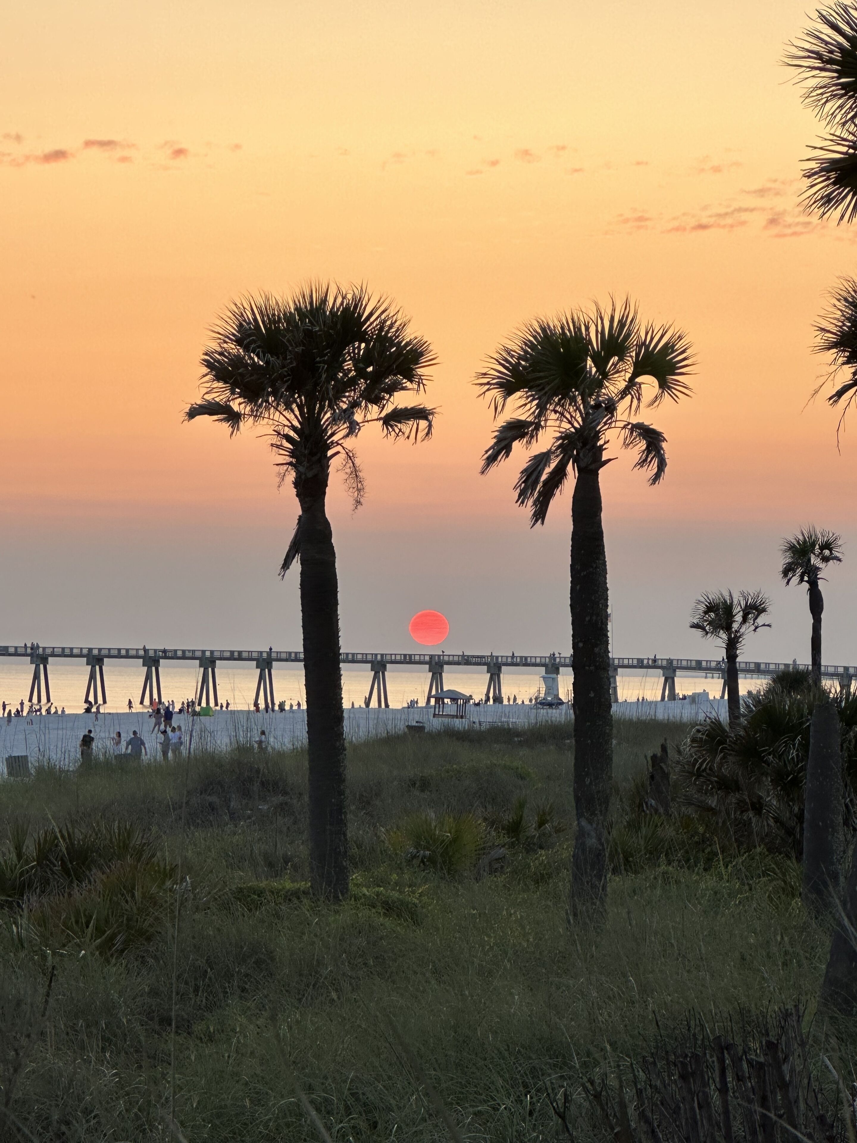 A sunset view with palm trees and a pier extending into the water.