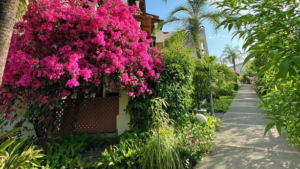 A pathway flanked by lush greenery and a building with a white facade and wooden accents.